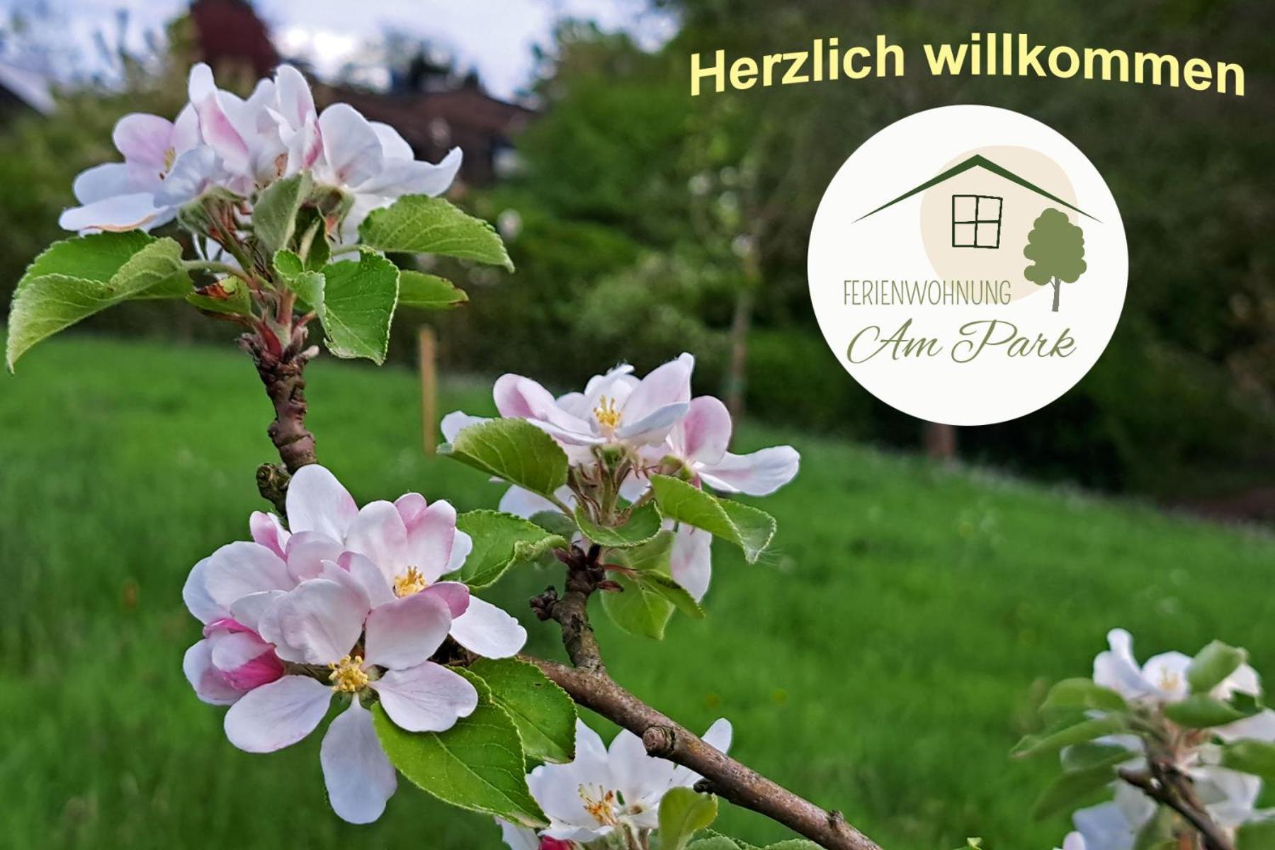 Grosszuegige Am Comberg-park *