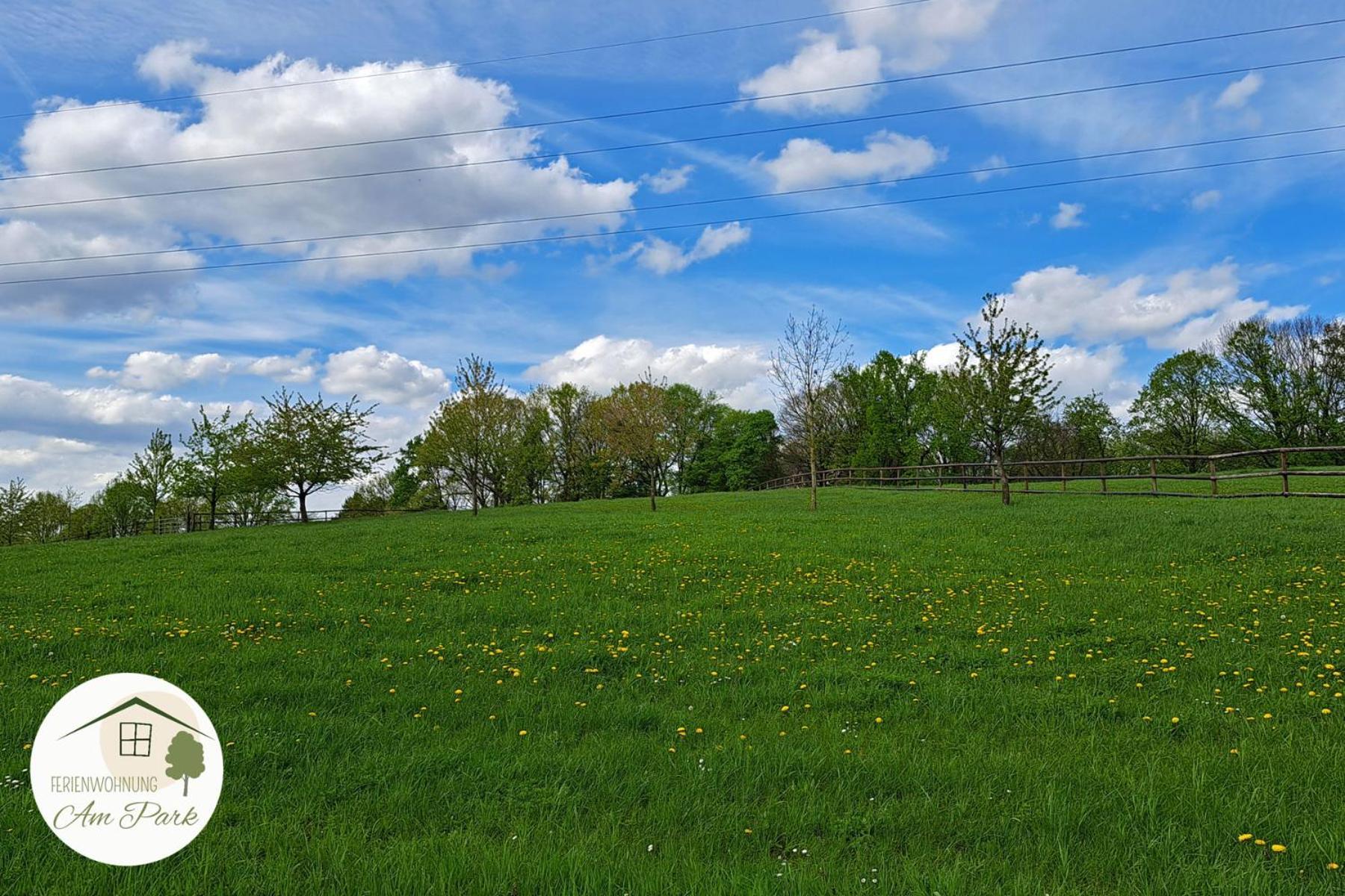 Grosszuegige Am Comberg-park Mettmann